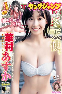 青云志电视剧在线观看